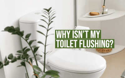 Why Isn’t My Toilet Flushing?