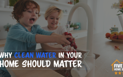 What Makes Clean Water So Essential for Your Home?  