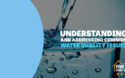 Understanding and Addressing Common Water Quality Issues